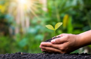 achat public durable